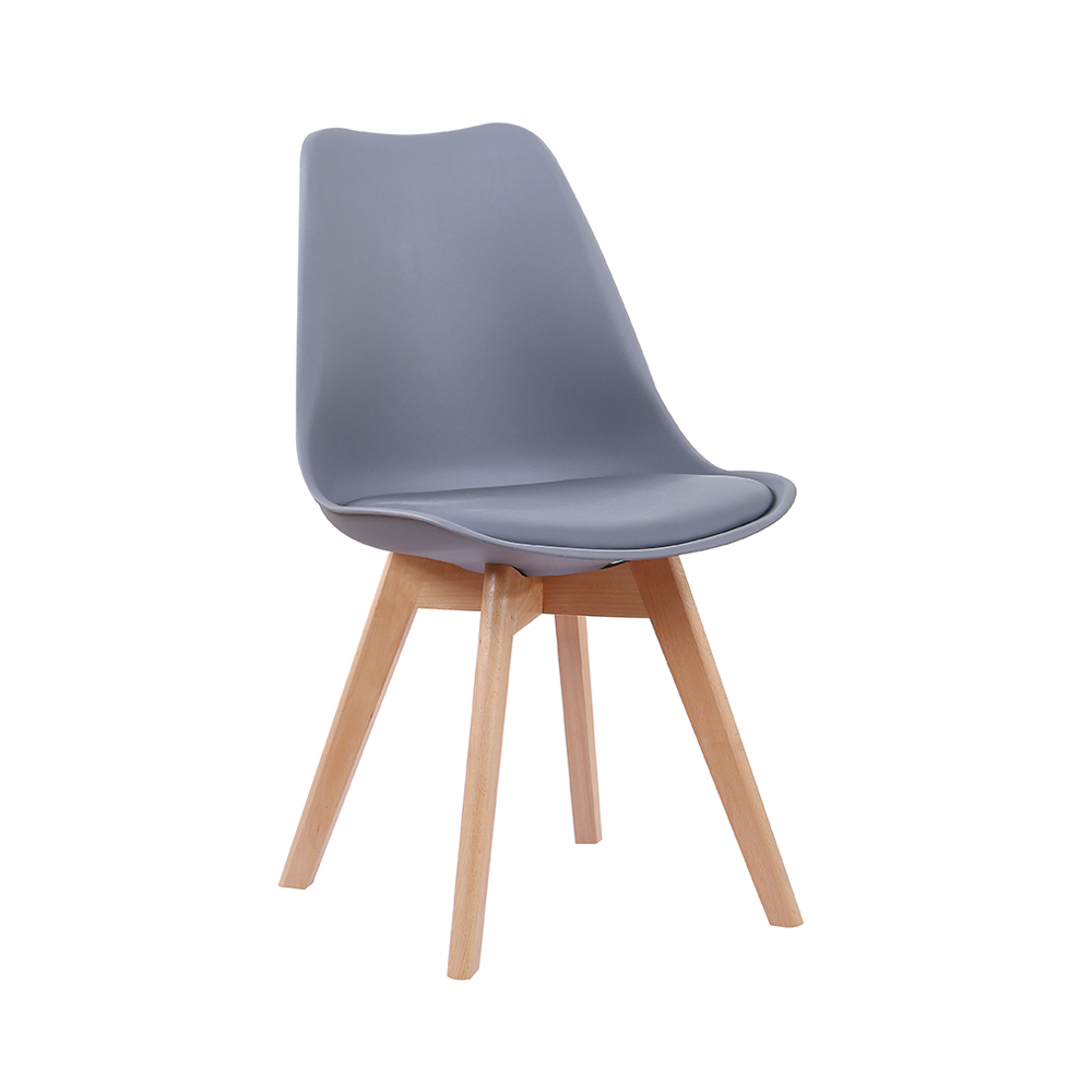 leda cinza leda cinza